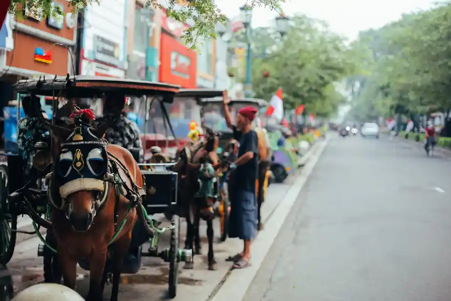 Inflasi di Provinsi DI Yogyakarta November 2024 Capai 1,14 Persen